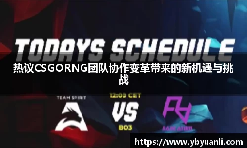 热议CSGORNG团队协作变革带来的新机遇与挑战
